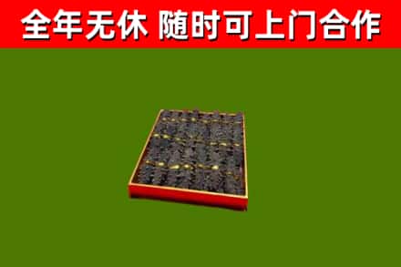 涪城回收海参